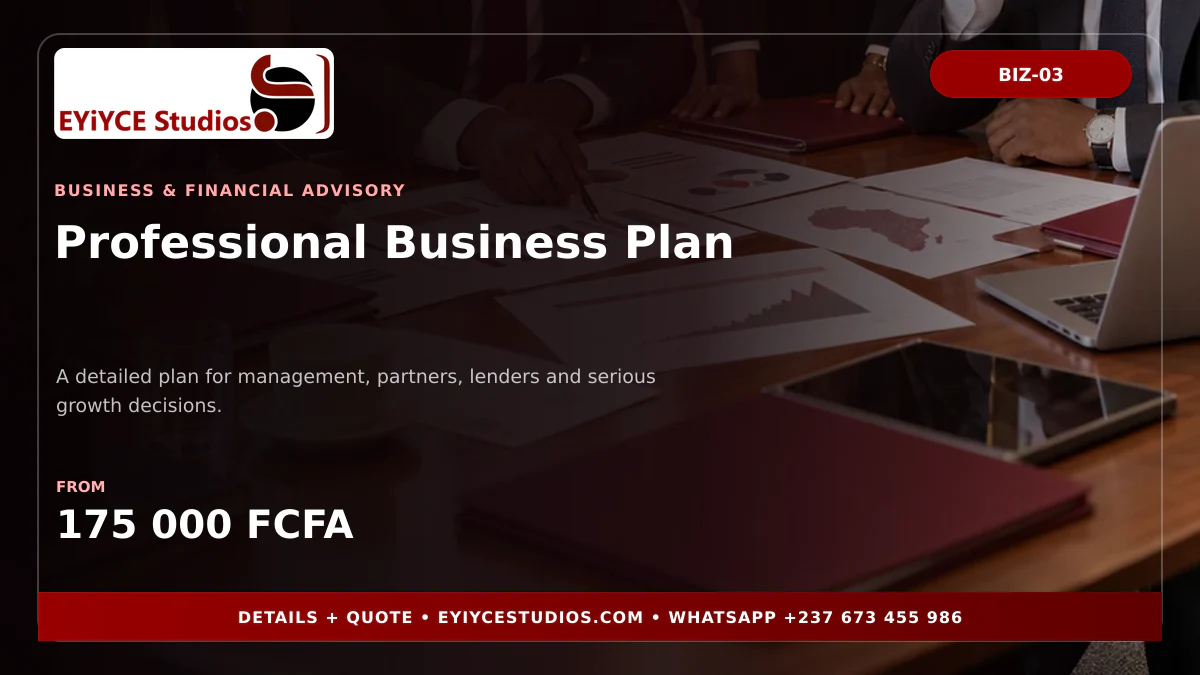 Professional Business Plan pricing graphic