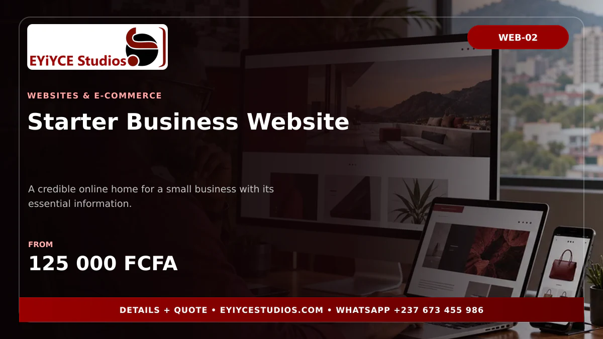 Starter Business Website pricing graphic